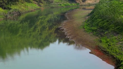Calm River With Green Reflections and Natural Riverbank Landscape Stock Footage 328820510