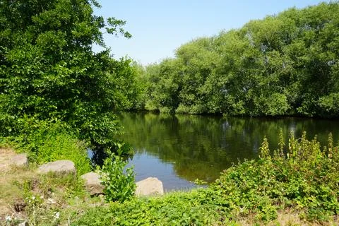 Calm River With Green Trees Under Blue Sky In Farndon, Nottinghamshire, England Stock Photos
