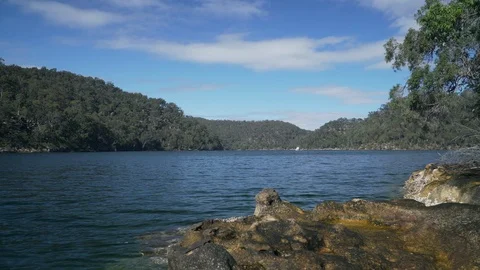 Calm river in kuringgai Sydney Stock-Footage 125487632