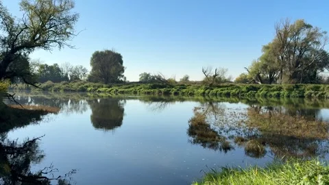 Calm River Landscape 動画素材 318849156