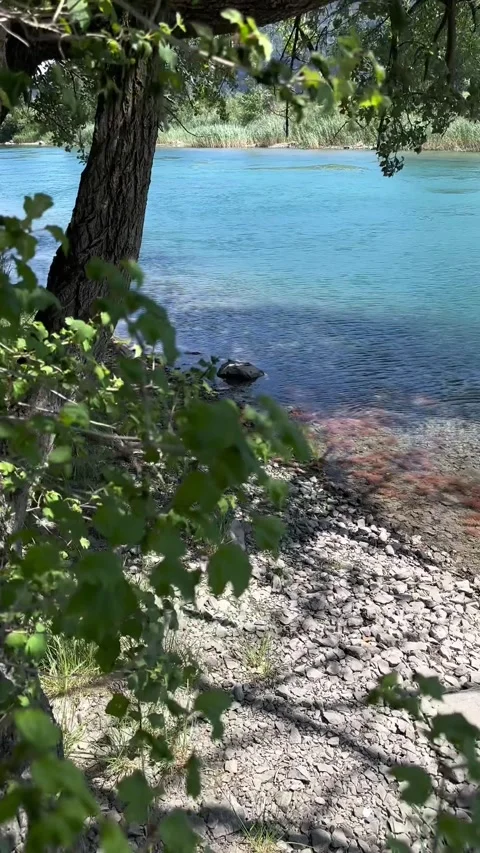 Calm River Linth small pebble stones shore in the summer, vertical format video Stock Footage 331283829
