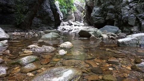 Calm river loop video Stock Footage 115574997