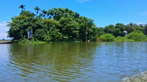 Calm River with Lush Greenery Vídeo Stock 331806215