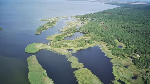 A Calm River Meanders Between The Green Banks Of The Forest. Stock Footage 315788368