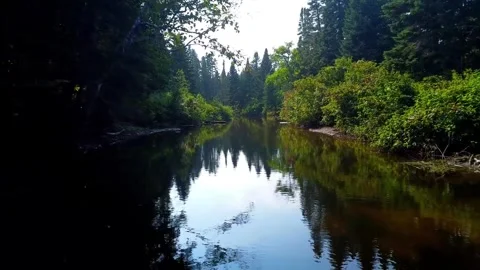 A calm river with a mirror effect flows through a dense and opaque forest. Stock Footage 303677470