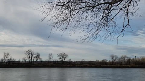 Calm river with overhanging branches and slow moving clouds Stock Footage 331765127