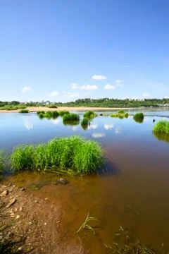 Calm river Stock Photos