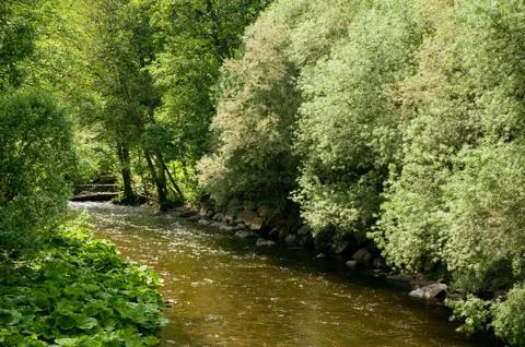 Calm river Stock Photos