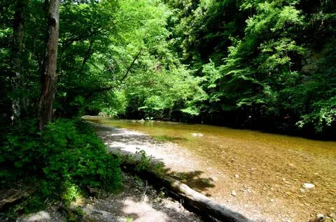 Calm river 스톡 사진