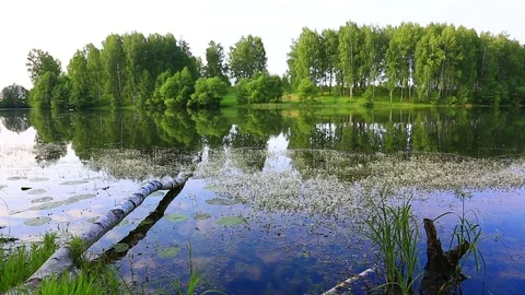 Calm river on the plain Stock Footage 74516366