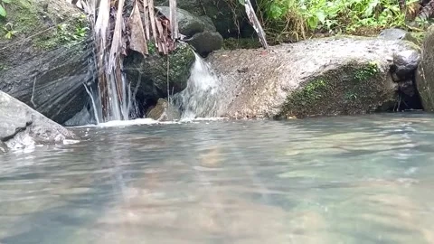 Calm River Pool with Gentle Water Flow | Tropical Nature Relax Scene Stock Footage 330546085