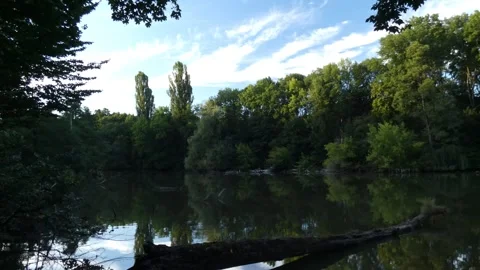 Calm river reflecting dense green forest and cloudy sky 스톡 동영상 339879722