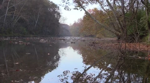 Calm river reflecting trees in autumn nature scenic Stock Footage 50143055