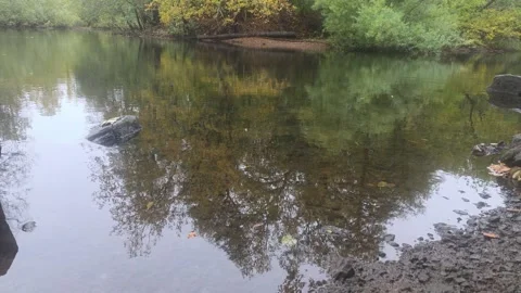 Calm River Reflecting Trees With Dark Rocky Shoreline In Foreground Stock Footage 348068657