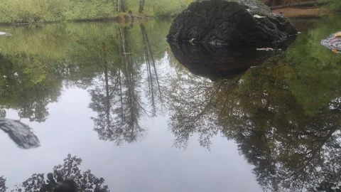 Calm River Reflecting Trees With A Large Dark Boulder In Water Stock Footage 348068454