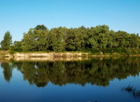 Calm River Reflection with Forest Landscape Photos