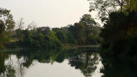 Calm River Reflection Surrounded by Green Forest Stock Footage 328340815