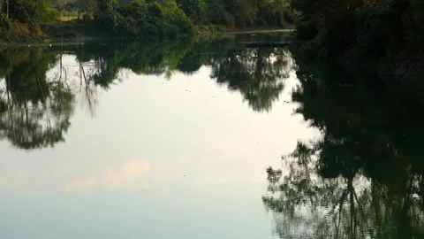 Calm River Reflection Surrounded by Lush Green Trees Stock Footage 328340806
