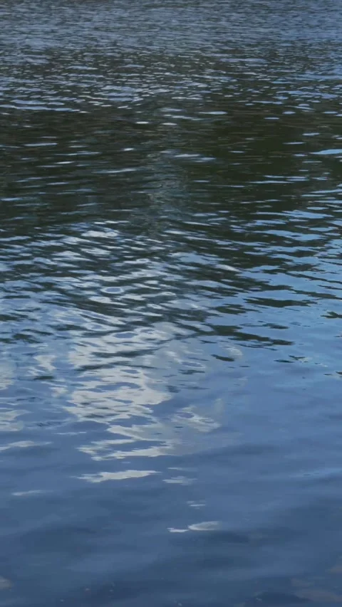 Calm River Reflection of Trees and Clouds Stock Footage 308389554