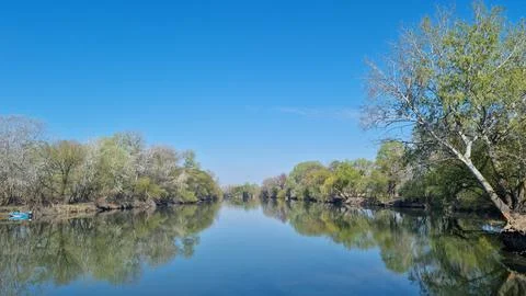 Calm river with reflections of spring trees under clear blue sky Stock Photos