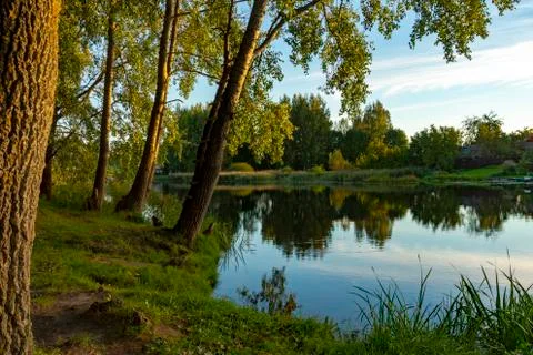Calm river with reflections of surrounding trees Stock Photos