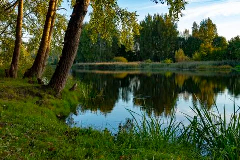 Calm river with reflections of surrounding trees Stock Photos