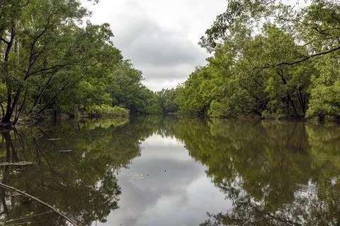 Calm River with Reflections of Trees Under Cloudy Sky Stock Photos