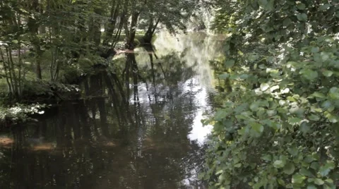 Calm River - Ruhiger Fluss - River Fluss Felda Thüringen Thuringia Video stock 41041209