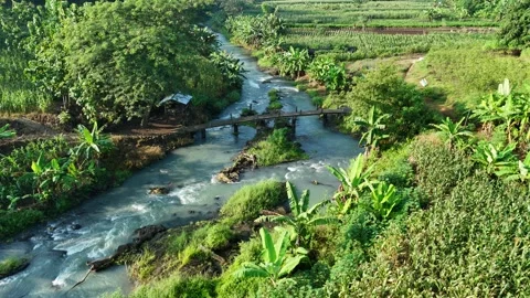 Calm River Scene with Bridge and Green Vegetation Stock Footage 309915020