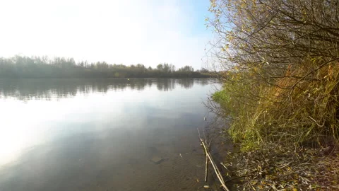 Calm river scene with trees and plants along the bank during a sunny day in Stock Footage 331439709