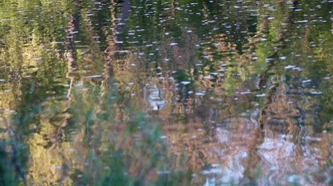 Calm river slowing flowing Stock Footage 50181472