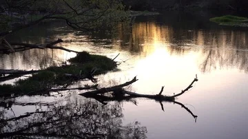 Calm river at spring sunset, 4K 2160p video footage Stock Footage 85993998
