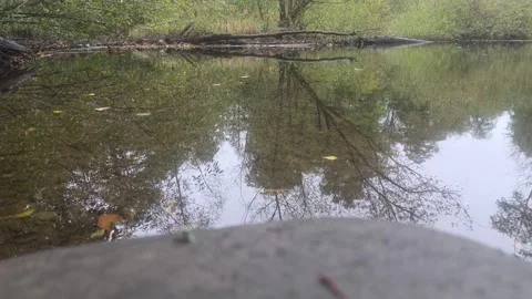 Calm River Surface Reflecting Trees With Smooth Water Texture Stockbeeldmateriaal 348068646