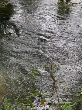 Calm River with Surface Reflections Stock Photos