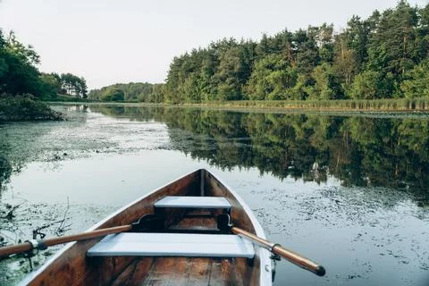 Calm River Surrounded by Forest Stock Photos