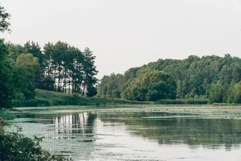 Calm River Surrounded by Green Forest Stock Photos