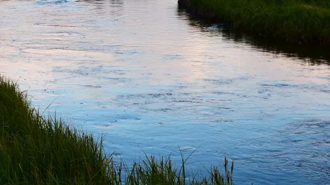 Calm river through a grassy field while sunset Stock Footage 128160401
