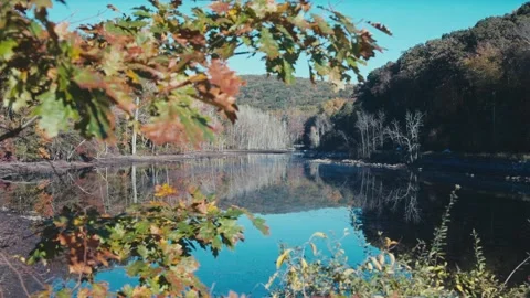Calm river with trees and mountians in the morning light Video stock 165766942