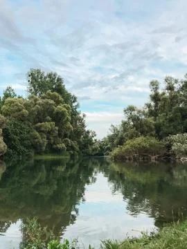 A calm river with trees on both sides Foto stock