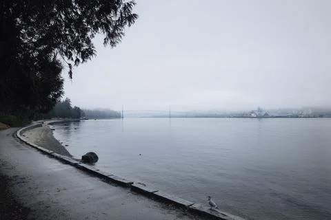 Calm river view under a cloudy sky in the morning Stock Photos