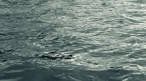 Calm river water Stock Footage 49709173