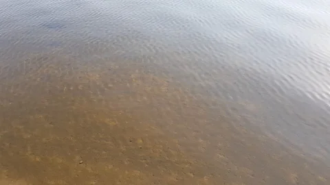 Calm river water Stock Footage 108390266