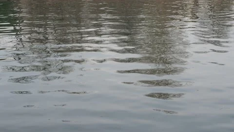 Calm river water Stock Footage 171412191