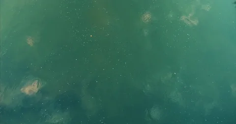 Calm river water with sky reflection Stock Footage 81358261