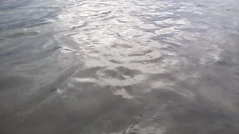 Calm river water: small waves, water light effect, river flow, fluid backgrou Stock Footage 251845098