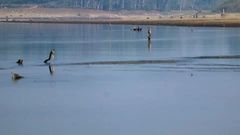 Calm river water with submerged tree stumps and soft reflections Stock Footage 327179729