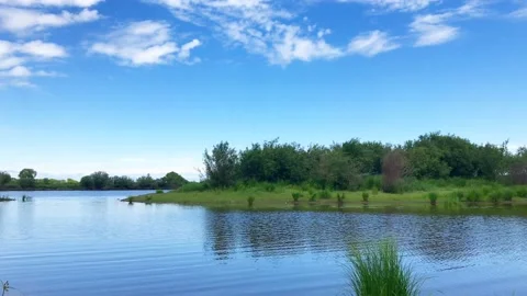 Calm river water surface with green trees on the background. Summer day on lake Stock Footage 132880075