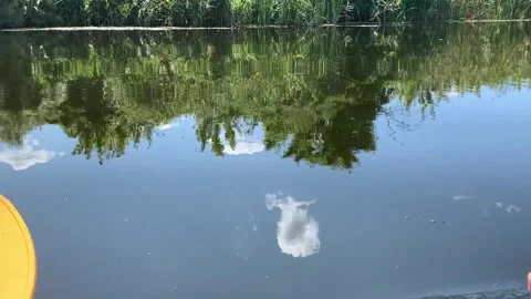 Calm river water surface reflecting blue sky and green trees during a sunny Vidéo 345662999