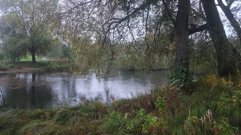 Calm River Water Surface With Trees Reflection Under Overcast Autumn Sky Stock Footage 347973781
