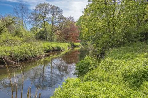 Calm river winds through lush greenery under bright sky Stock Photos